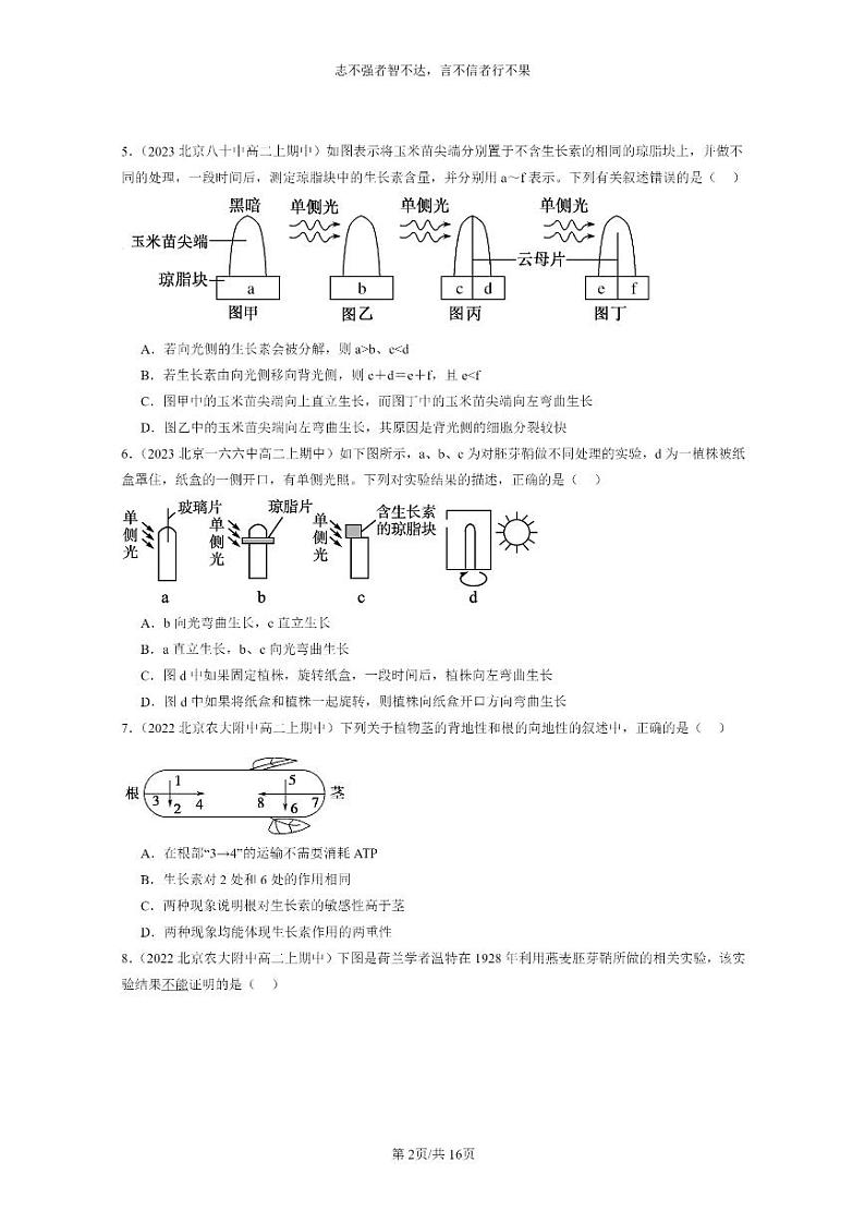[生物]2021～2023北京重点校高二上学期期中生物真题分类汇编：植物生长素第2页