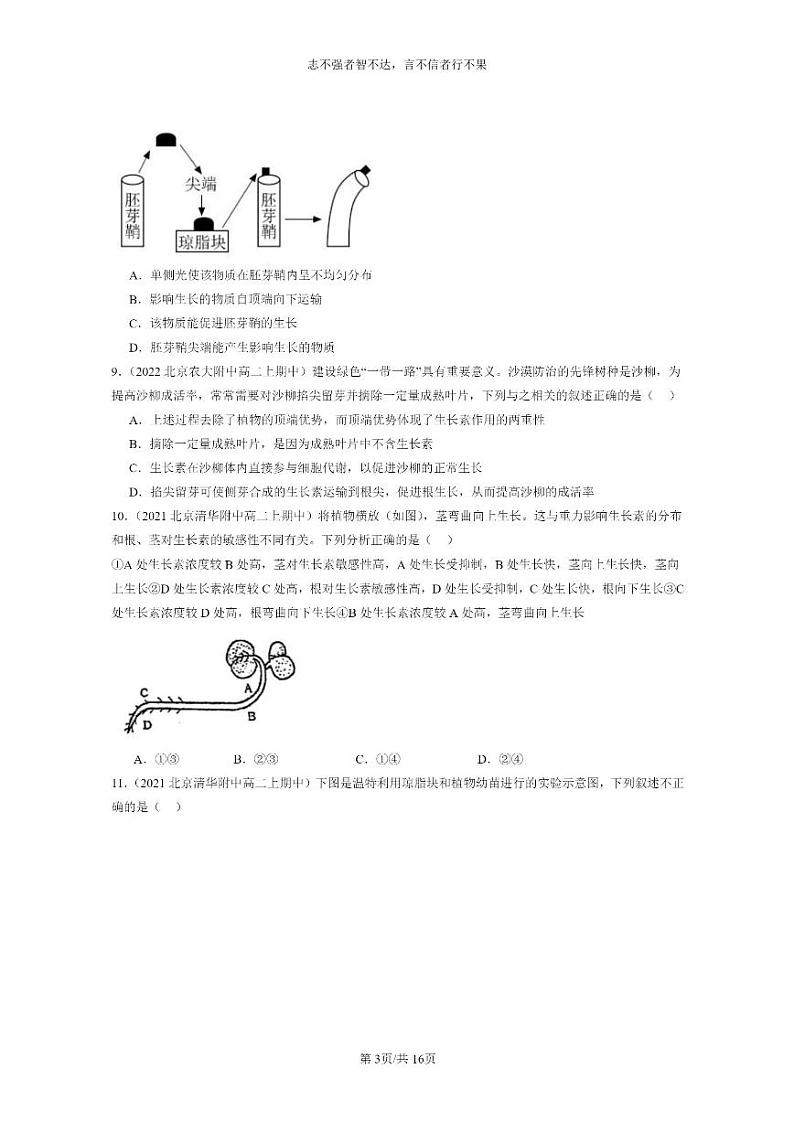 [生物]2021～2023北京重点校高二上学期期中生物真题分类汇编：植物生长素第3页