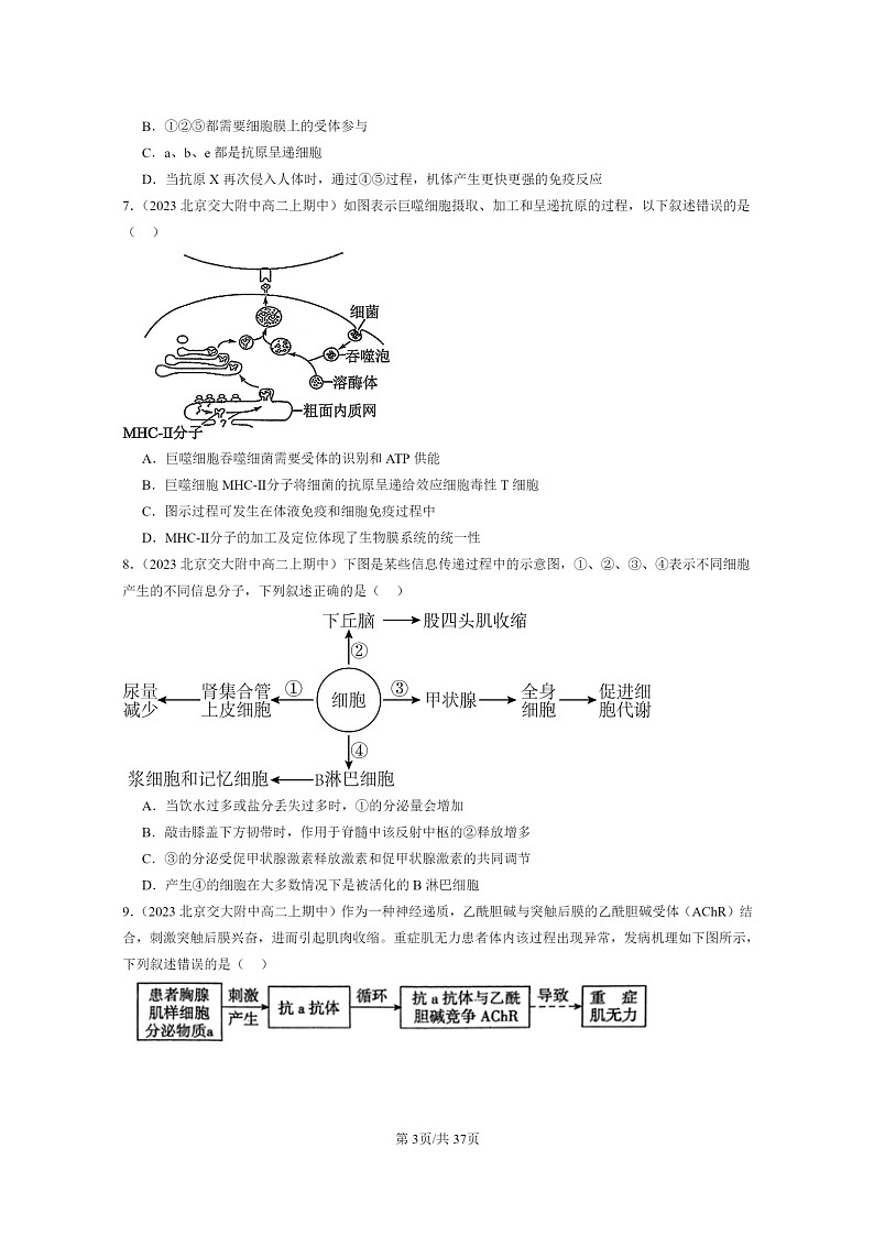 [生物]2023北京重点校高二上学期期中生物真题分类汇编：特异性免疫03