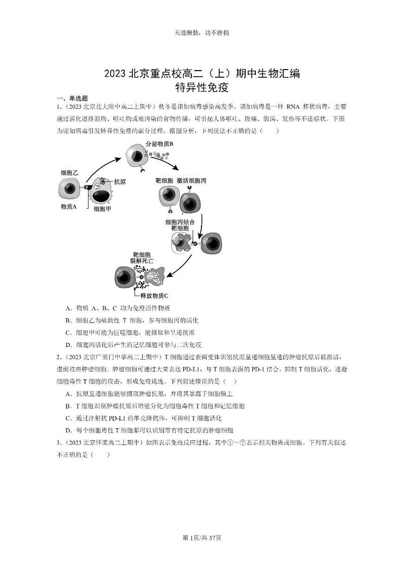 [生物]2023北京重点校高二上学期期中生物真题分类汇编：特异性免疫01