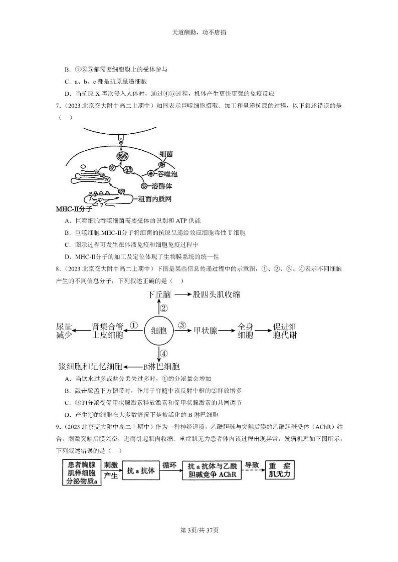 [生物]2023北京重点校高二上学期期中生物真题分类汇编：特异性免疫03
