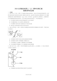 [生物]2023北京重点校高二上学期期中生物真题分类汇编：激素调节的过程