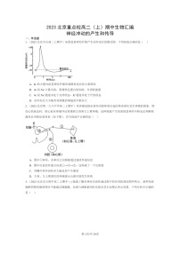 [生物]2023北京重点校高二上学期期中生物真题分类汇编：神经冲动的产生和传导