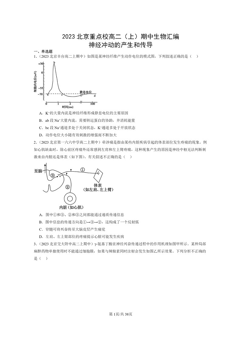 [生物]2023北京重点校高二上学期期中生物真题分类汇编：神经冲动的产生和传导01