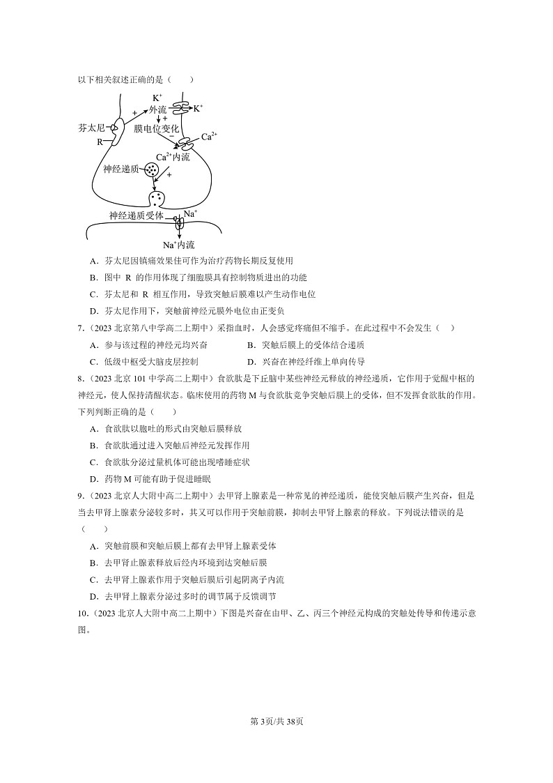 [生物]2023北京重点校高二上学期期中生物真题分类汇编：神经冲动的产生和传导03