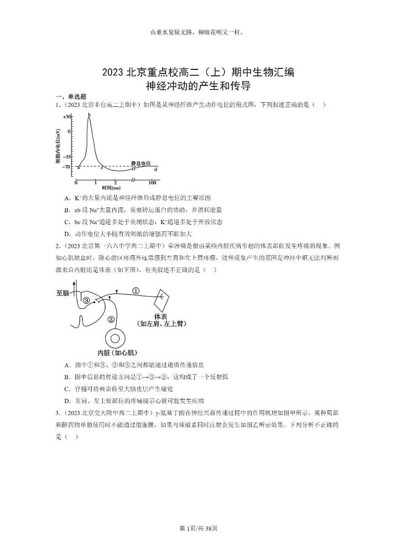 [生物]2023北京重点校高二上学期期中生物真题分类汇编：神经冲动的产生和传导01