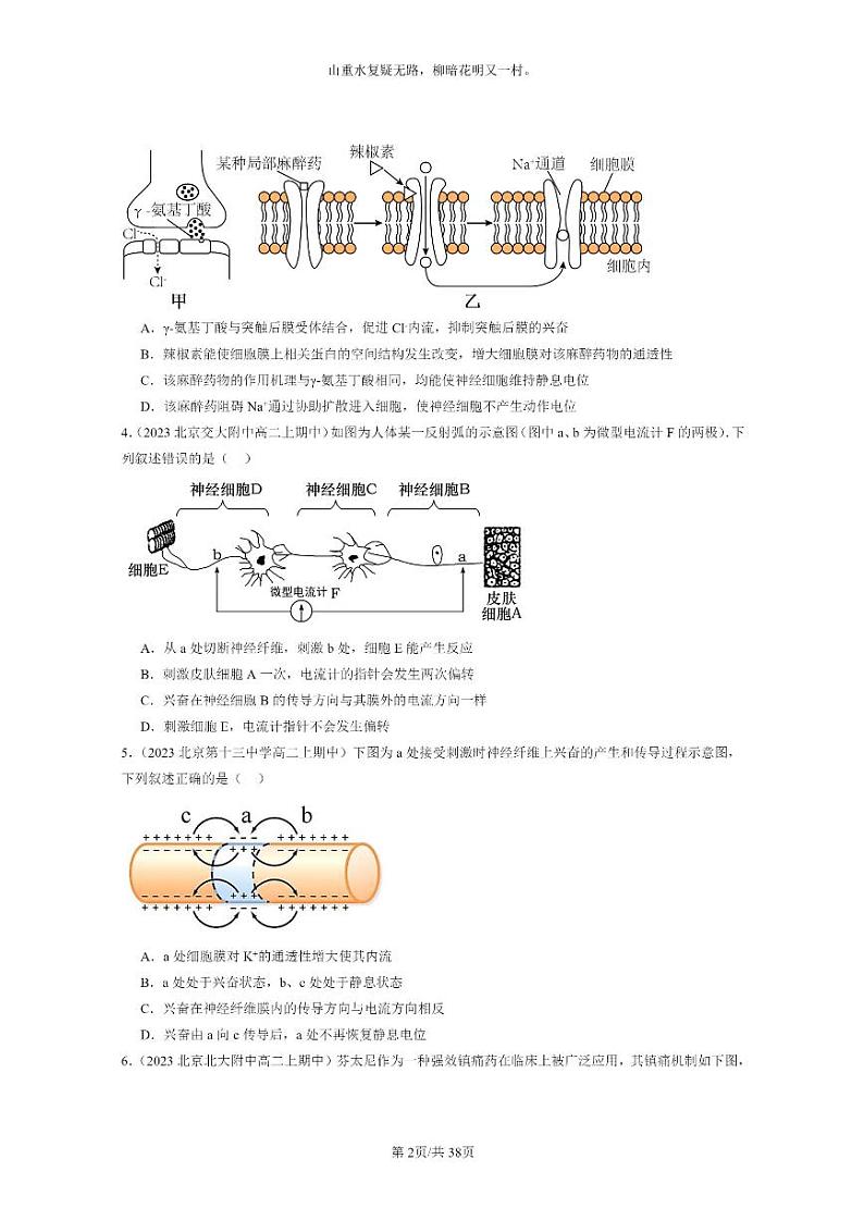 [生物]2023北京重点校高二上学期期中生物真题分类汇编：神经冲动的产生和传导02