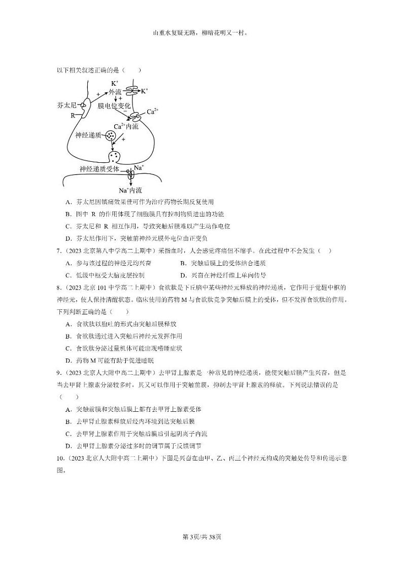[生物]2023北京重点校高二上学期期中生物真题分类汇编：神经冲动的产生和传导03