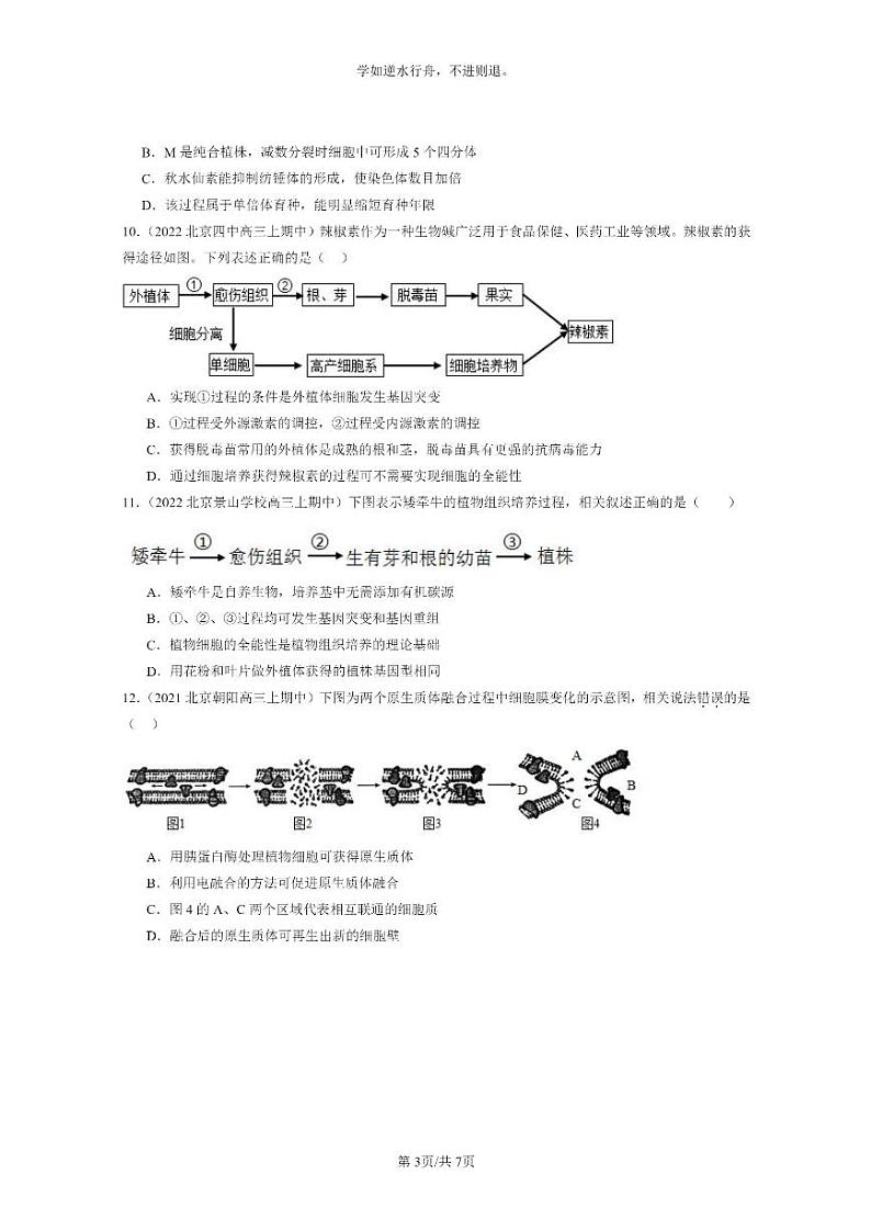 [生物]2021～2023北京重点校高三上学期期中生物真题分类汇编：植物细胞工程03