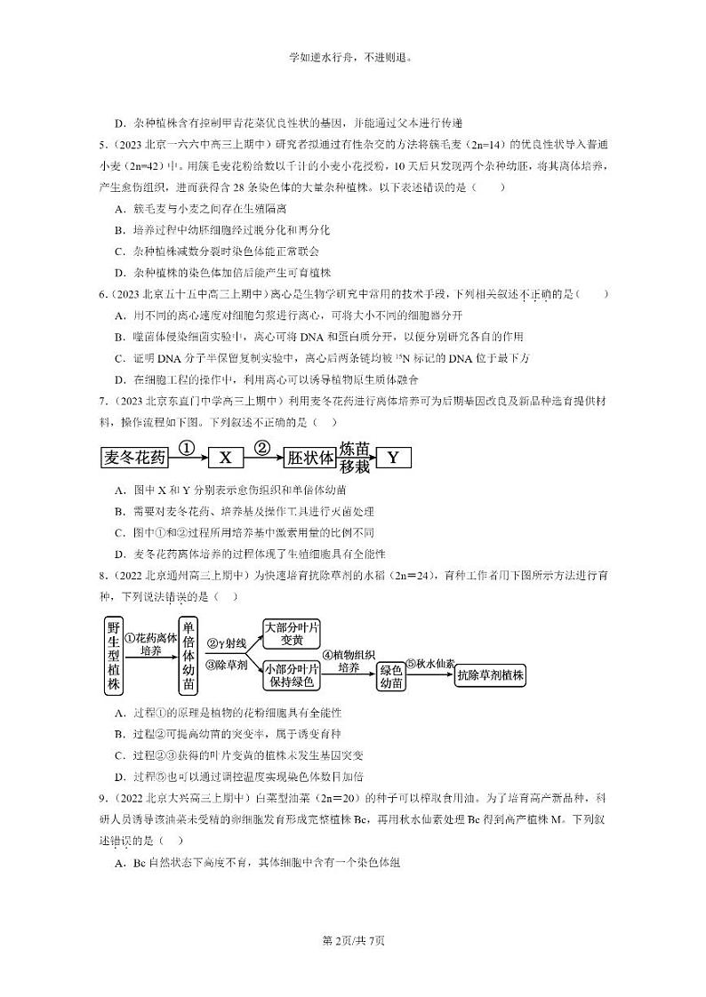 [生物]2021～2023北京重点校高三上学期期中生物真题分类汇编：植物细胞工程02