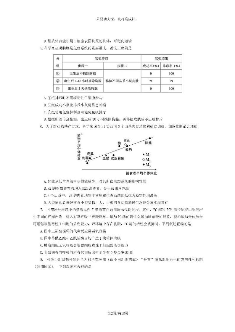 [生物]2024重庆高考真题生物试卷及答案02