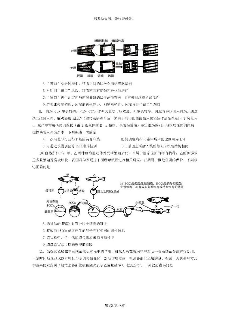 [生物]2024重庆高考真题生物试卷及答案03