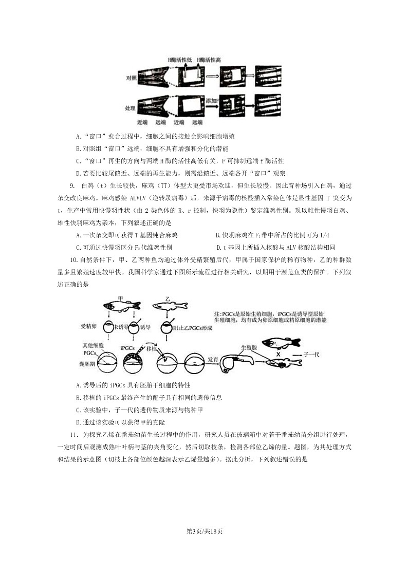[生物]2024重庆高考真题生物试卷及答案03