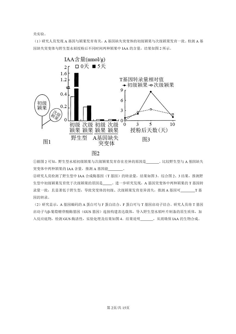 [生物]2021～2023北京重点校高三上学期期中生物真题分类汇编：其他植物激素第2页