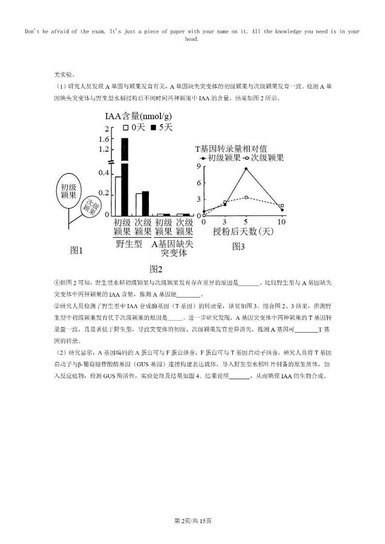 [生物]2021～2023北京重点校高三上学期期中生物真题分类汇编：其他植物激素第2页