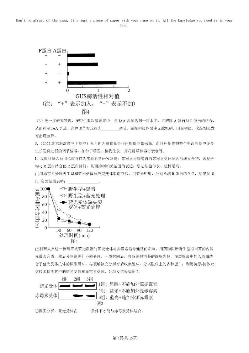 [生物]2021～2023北京重点校高三上学期期中生物真题分类汇编：其他植物激素第3页