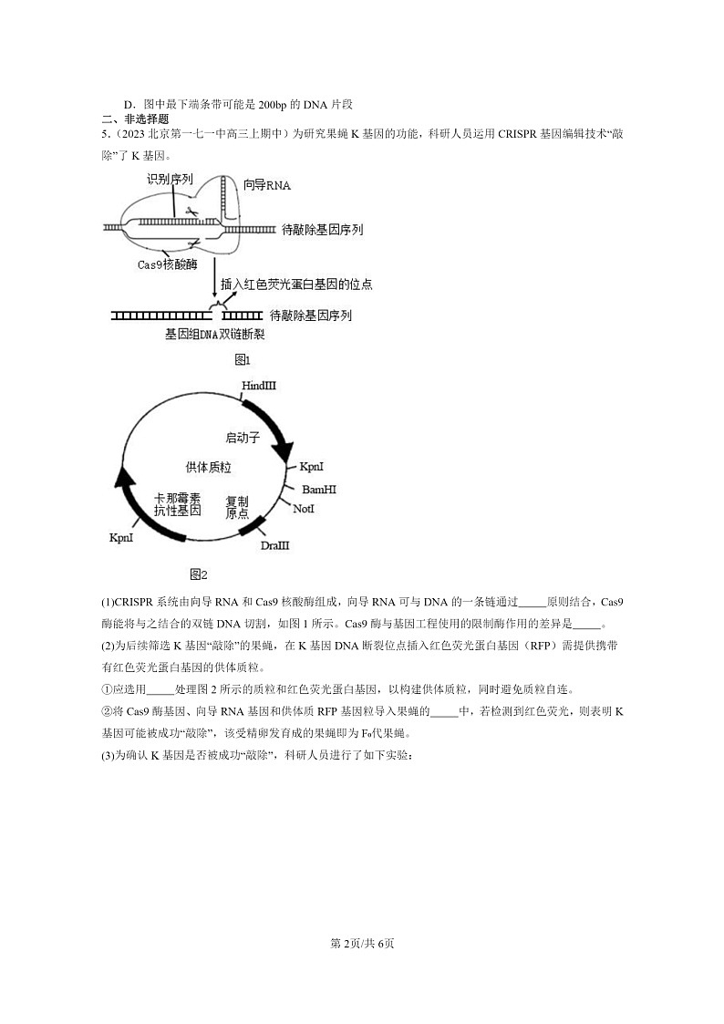 [生物]2021～2023北京重点校高三上学期期中生物真题分类汇编：重组DNA技术的基本工具第2页