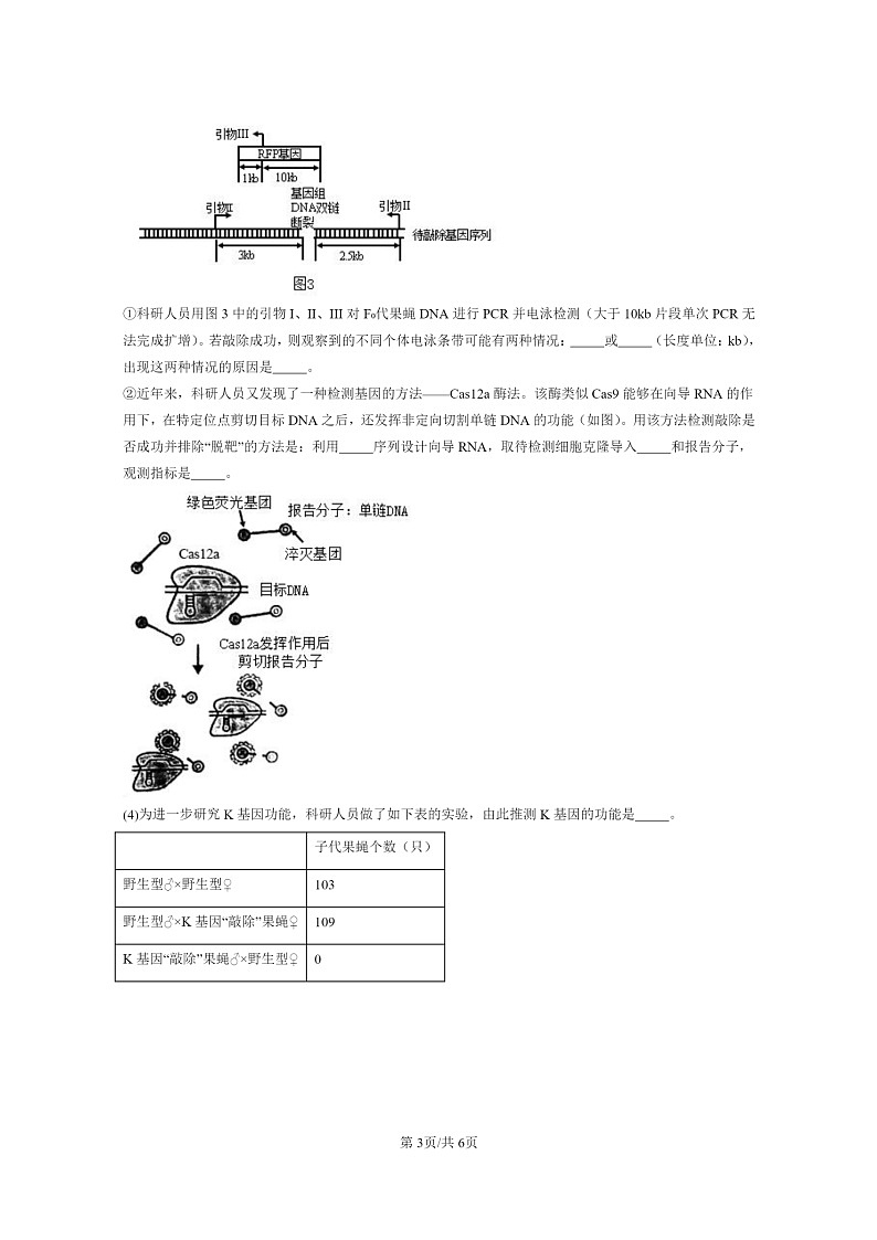 [生物]2021～2023北京重点校高三上学期期中生物真题分类汇编：重组DNA技术的基本工具第3页