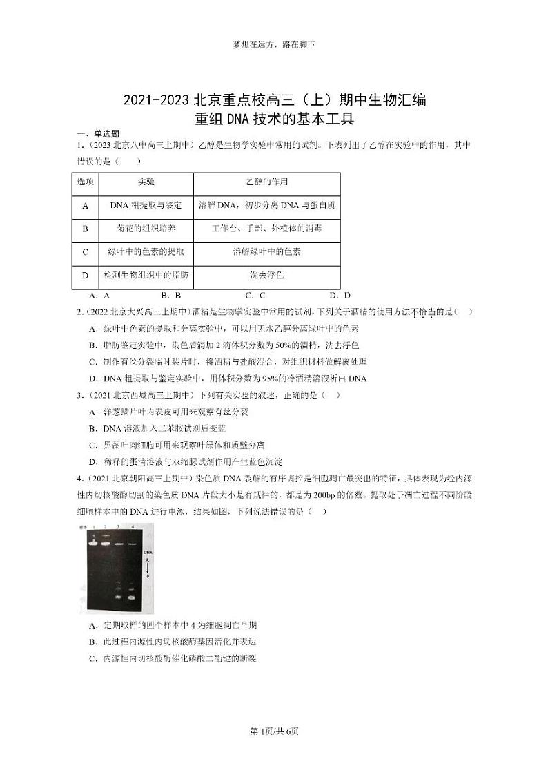 [生物]2021～2023北京重点校高三上学期期中生物真题分类汇编：重组DNA技术的基本工具第1页