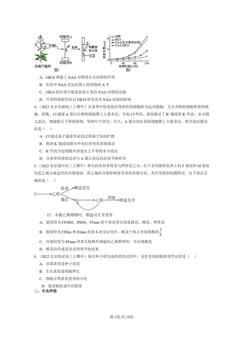 [生物]2021～2023北京重点校高三上学期期中生物真题分类汇编：植物生命活动的调节章节综合第2页