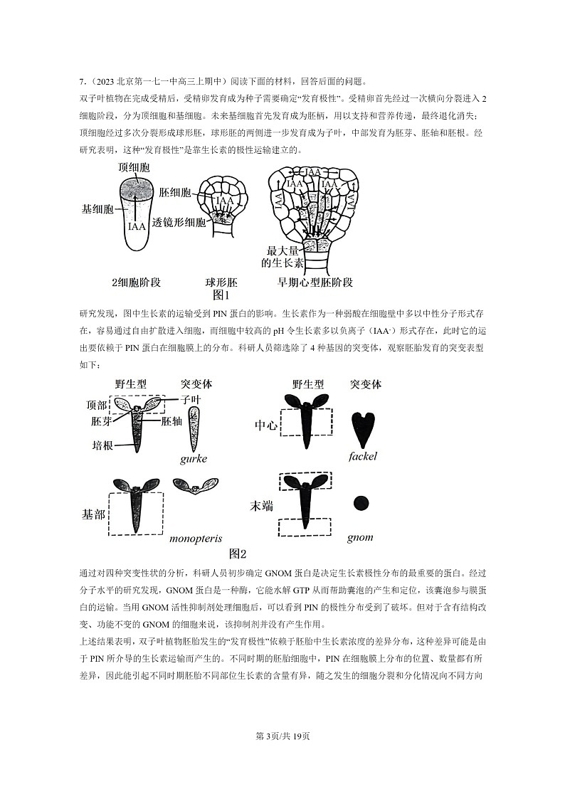 [生物]2021～2023北京重点校高三上学期期中生物真题分类汇编：植物生命活动的调节章节综合第3页