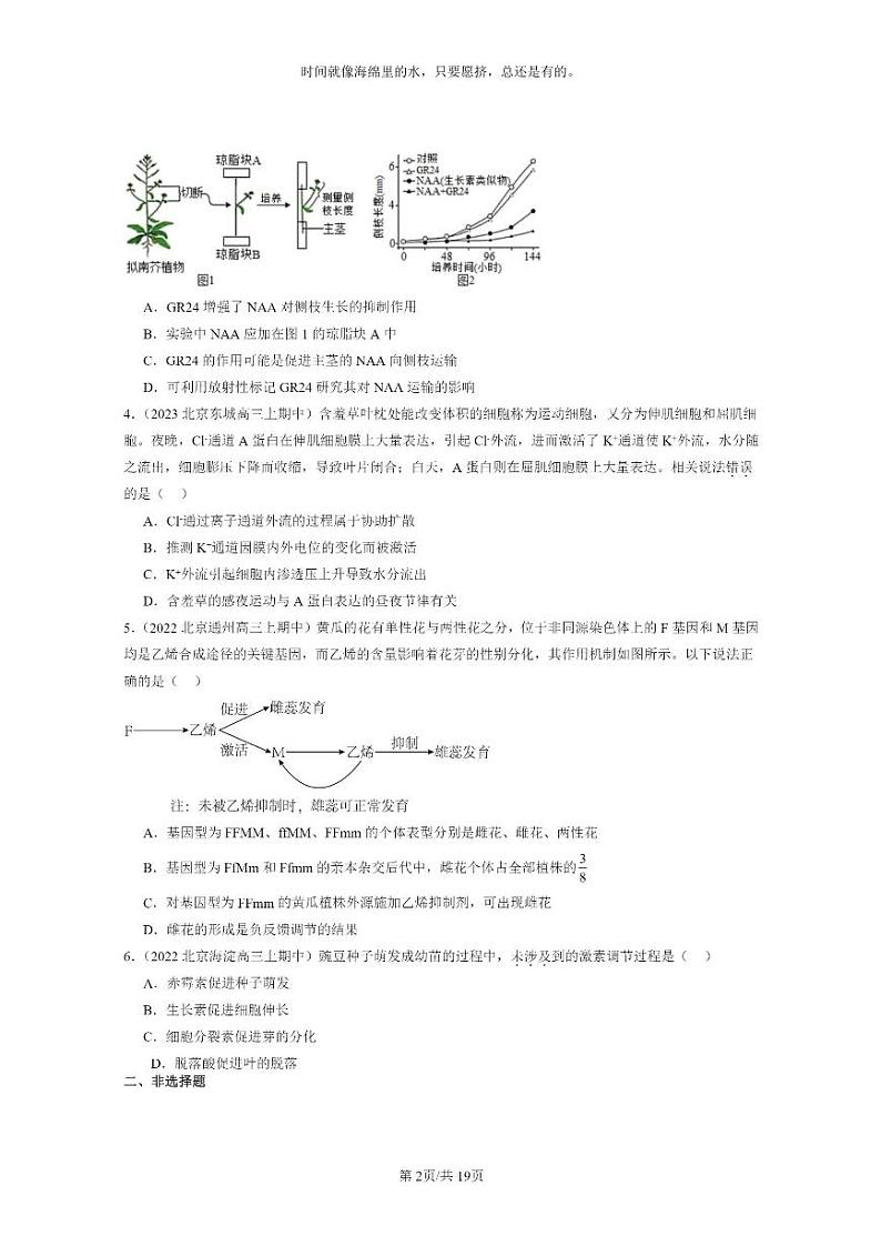 [生物]2021～2023北京重点校高三上学期期中生物真题分类汇编：植物生命活动的调节章节综合第2页