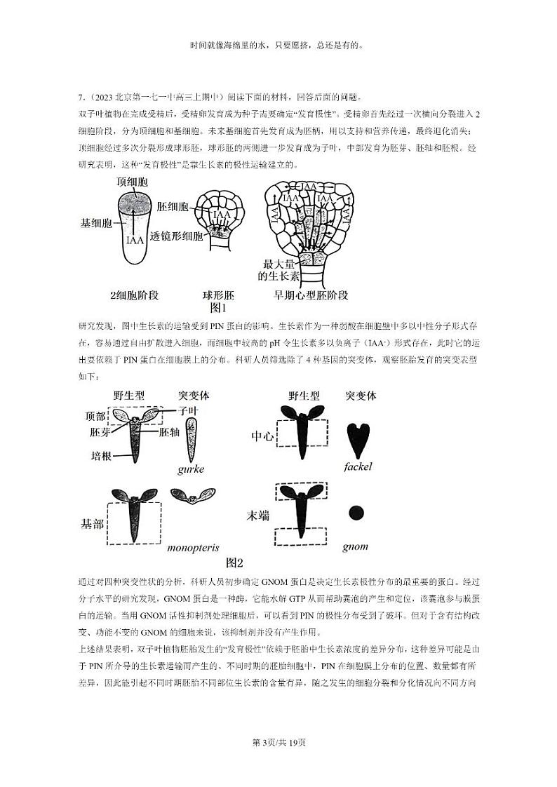 [生物]2021～2023北京重点校高三上学期期中生物真题分类汇编：植物生命活动的调节章节综合第3页