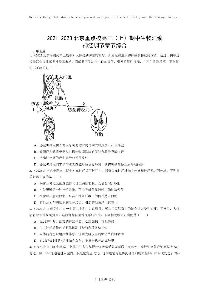 [生物]2021～2023北京重点校高三上学期期中生物真题分类汇编：神经调节章节综合第1页