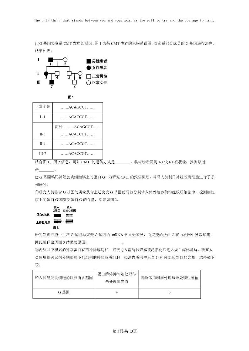 [生物]2021～2023北京重点校高三上学期期中生物真题分类汇编：神经调节章节综合第3页