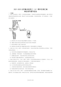 [生物]2021～2023北京重点校高三上学期期中生物真题分类汇编：神经调节章节综合