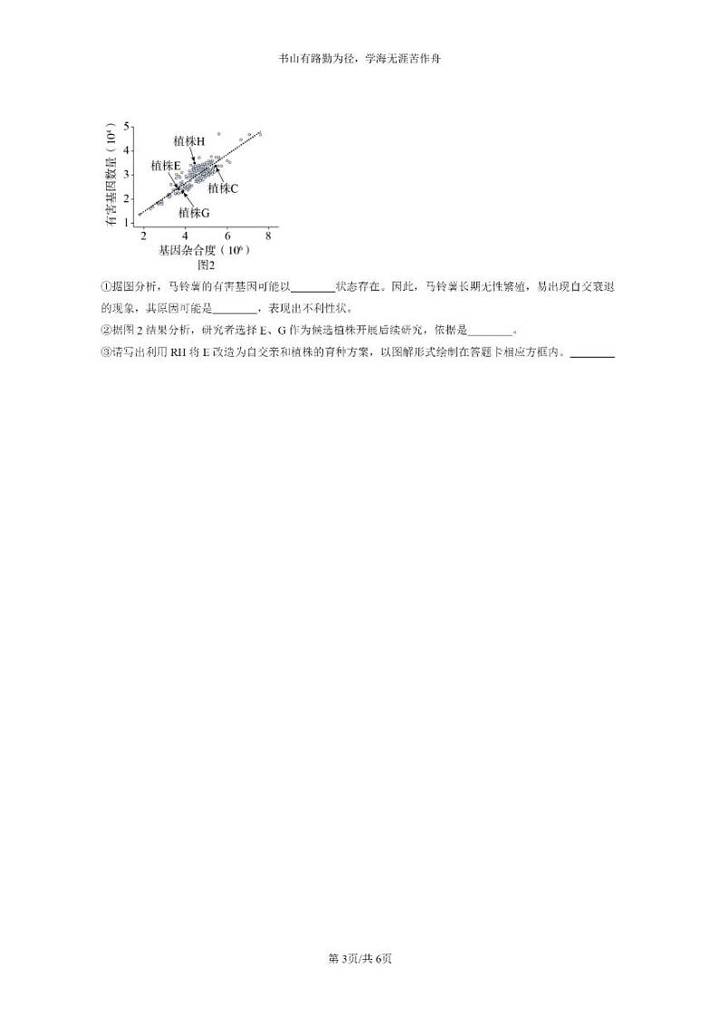 [生物]2021～2023北京重点校高三上学期期中生物真题分类汇编：孟德尔的豌豆杂交实验(一)第3页