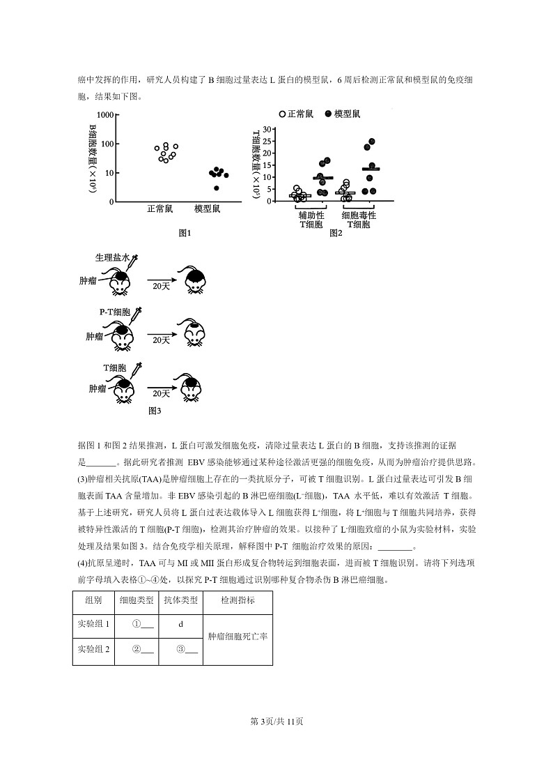 [生物]2021～2023北京重点校高三上学期期中生物真题分类汇编：免疫调节章节综合03