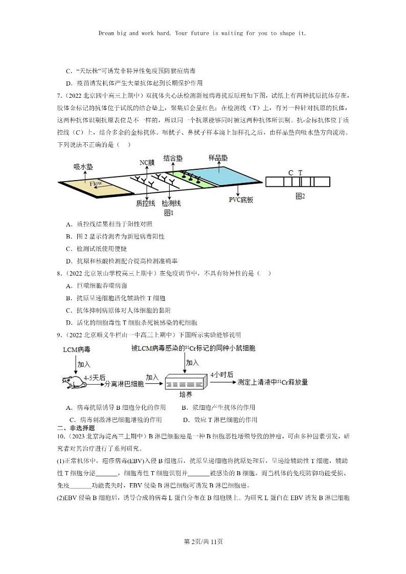 [生物]2021～2023北京重点校高三上学期期中生物真题分类汇编：免疫调节章节综合02