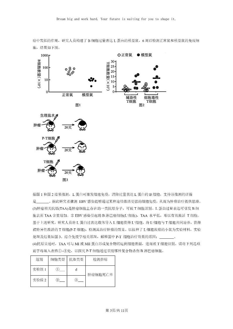 [生物]2021～2023北京重点校高三上学期期中生物真题分类汇编：免疫调节章节综合03