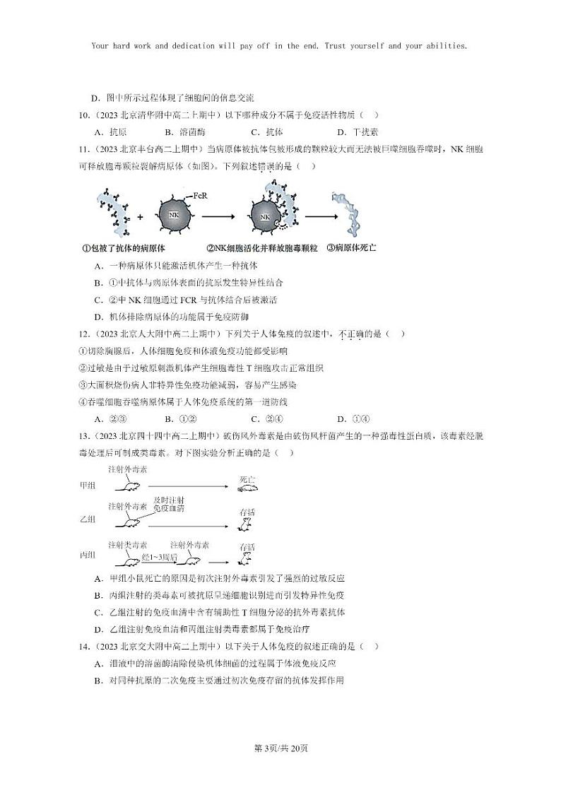[生物]2023北京重点校高二上学期期中生物真题分类汇编：免疫调节章节综合(选择题)2(1)03