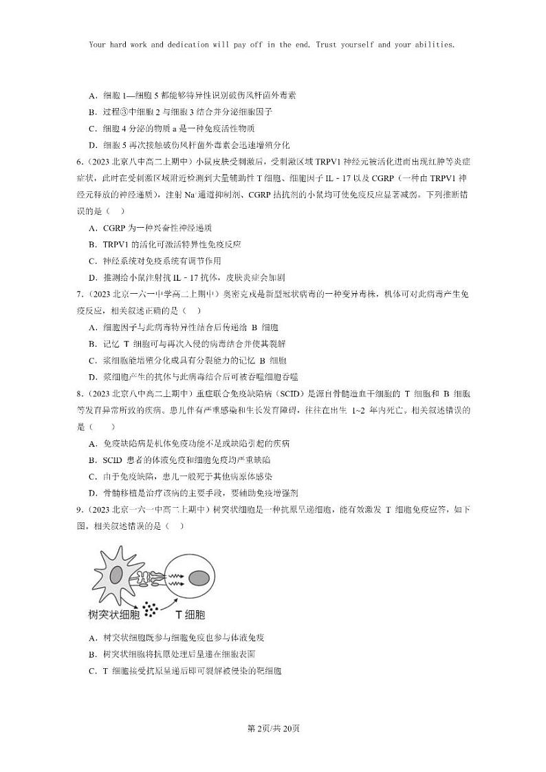 [生物]2023北京重点校高二上学期期中生物真题分类汇编：免疫调节章节综合(选择题)2(1)02