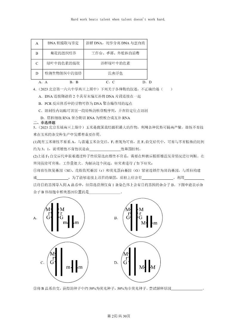 [生物]2023北京重点校高三上学期期中生物真题分类汇编：基因工程章节综合02