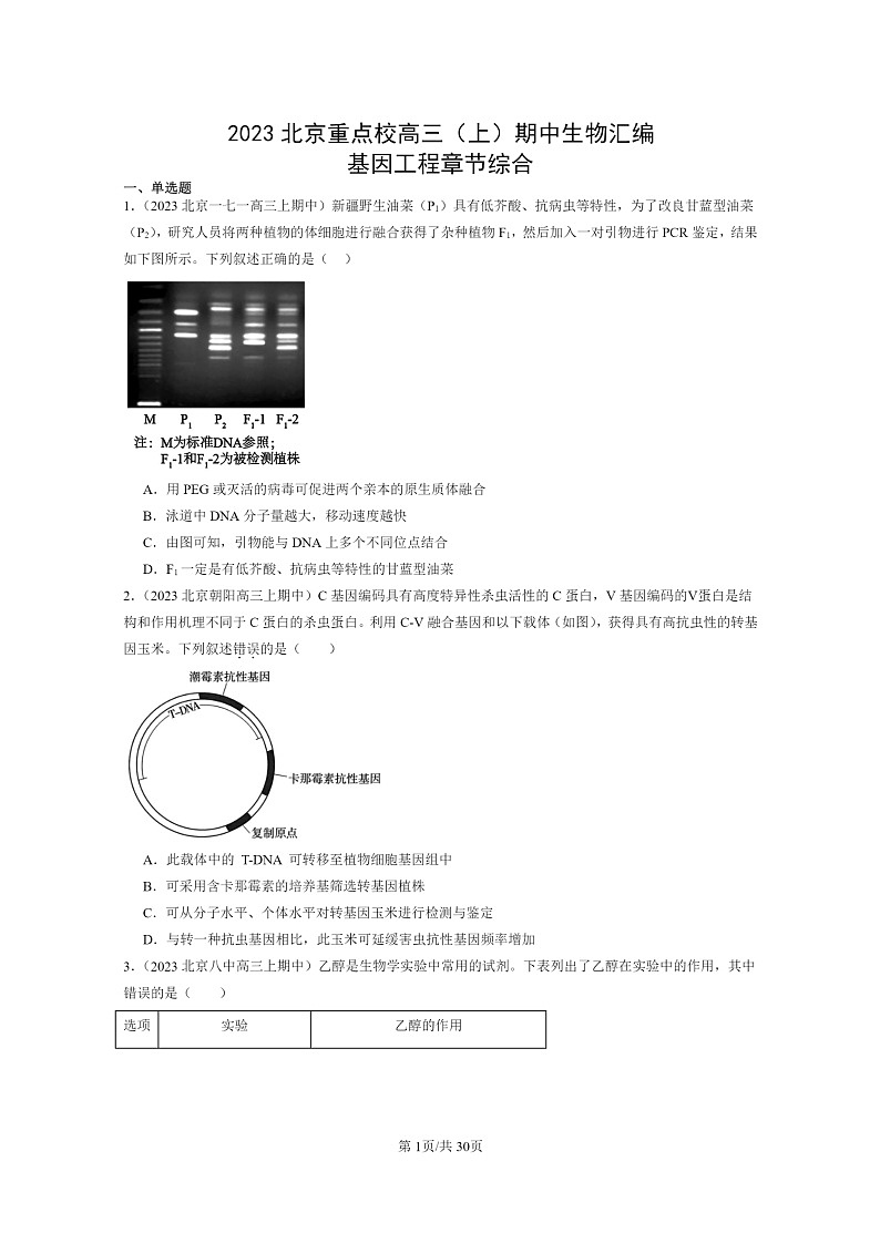 [生物]2023北京重点校高三上学期期中生物真题分类汇编：基因工程章节综合01