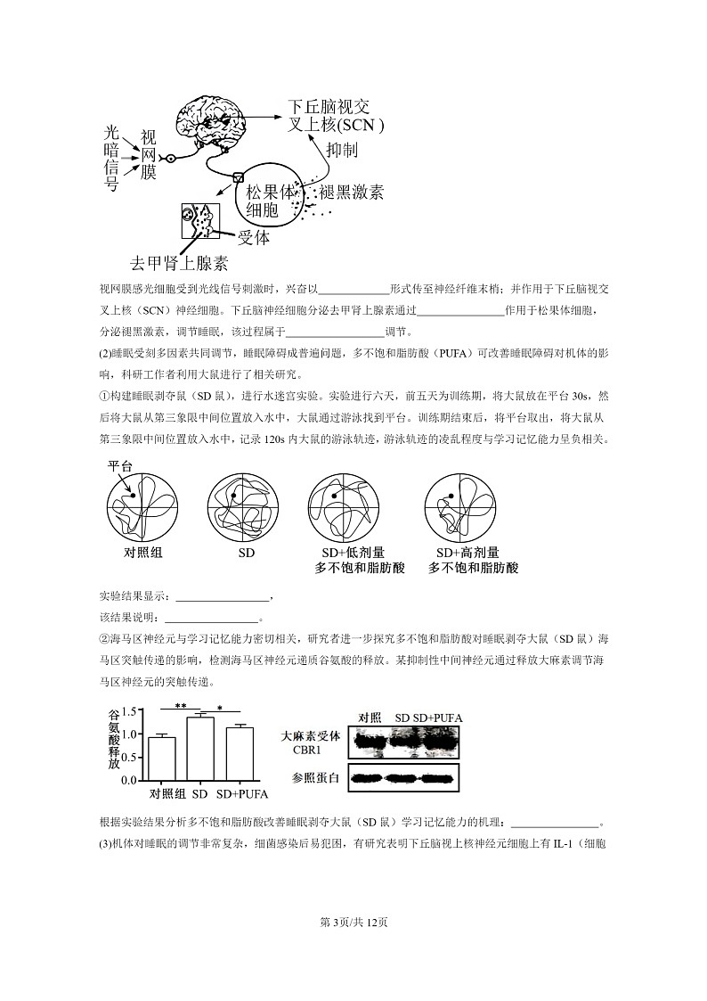 [生物]2023北京重点校高二上学期期中生物真题分类汇编：人脑的高级功能03