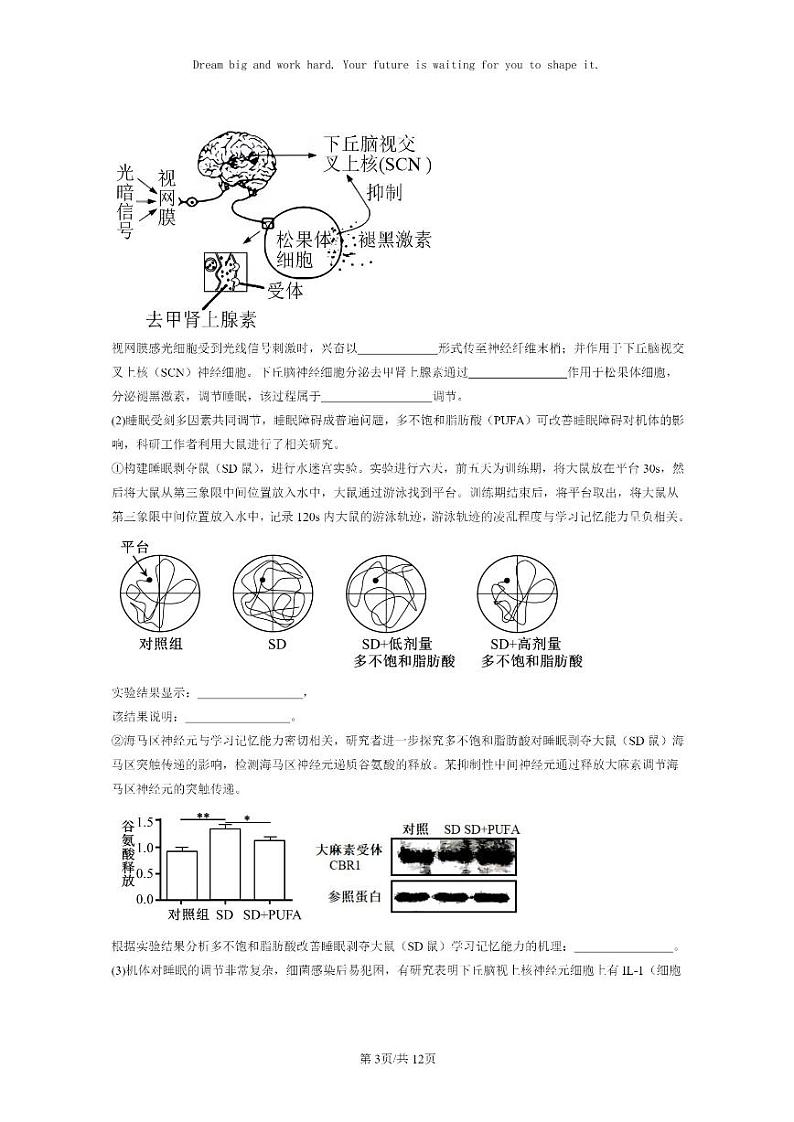 [生物]2023北京重点校高二上学期期中生物真题分类汇编：人脑的高级功能03