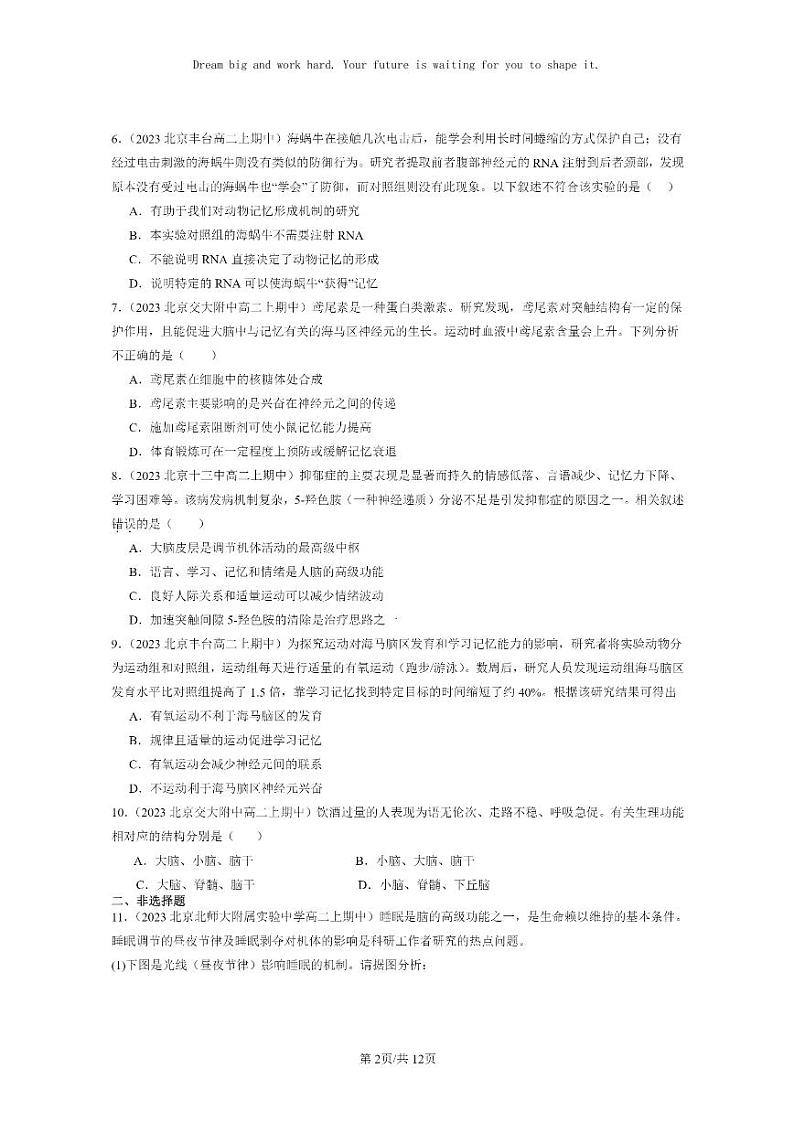 [生物]2023北京重点校高二上学期期中生物真题分类汇编：人脑的高级功能02