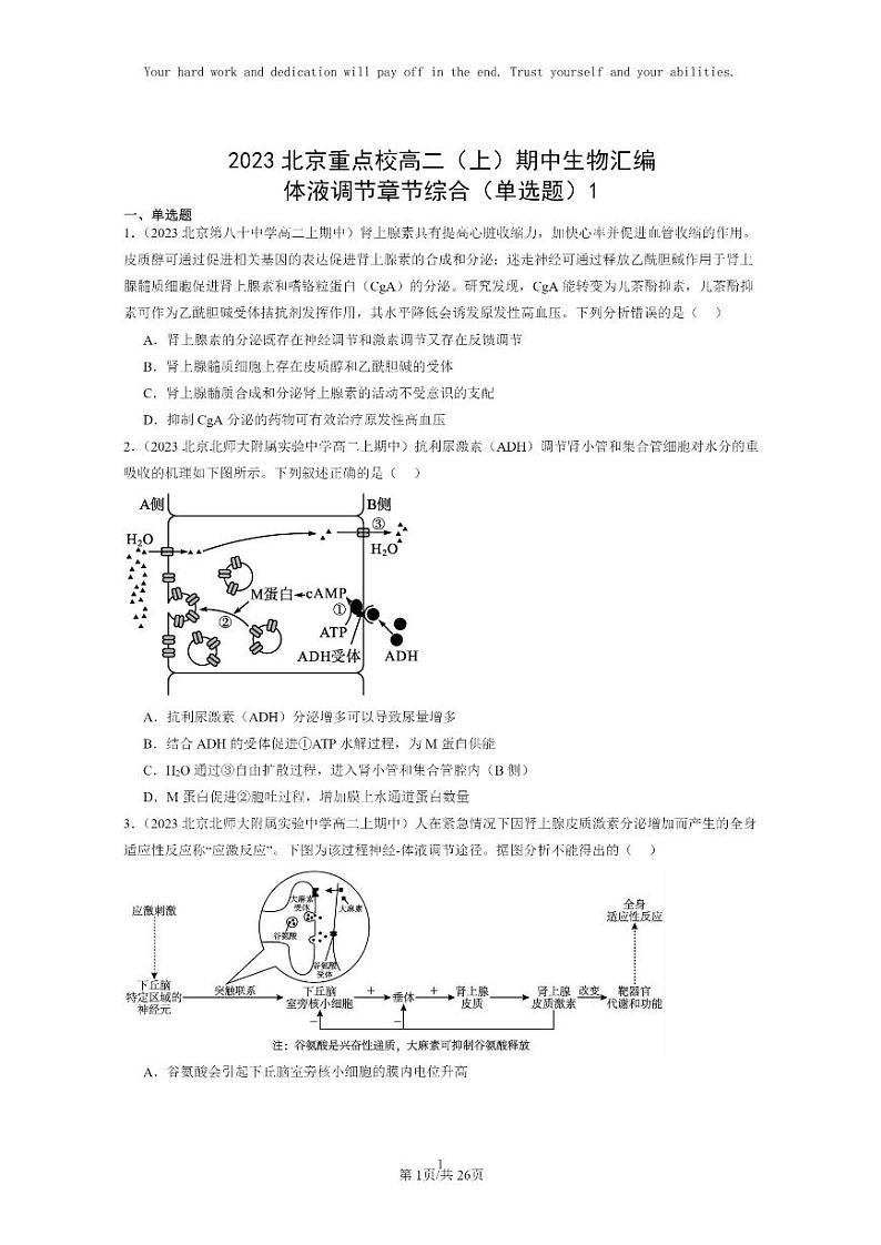 [生物]2023北京重点校高二上学期期中生物真题分类汇编：体液调节章节综合(单选题)1第1页