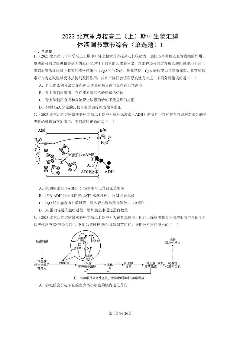 [生物]2023北京重点校高二上学期期中生物真题分类汇编：体液调节章节综合(单选题)1第1页