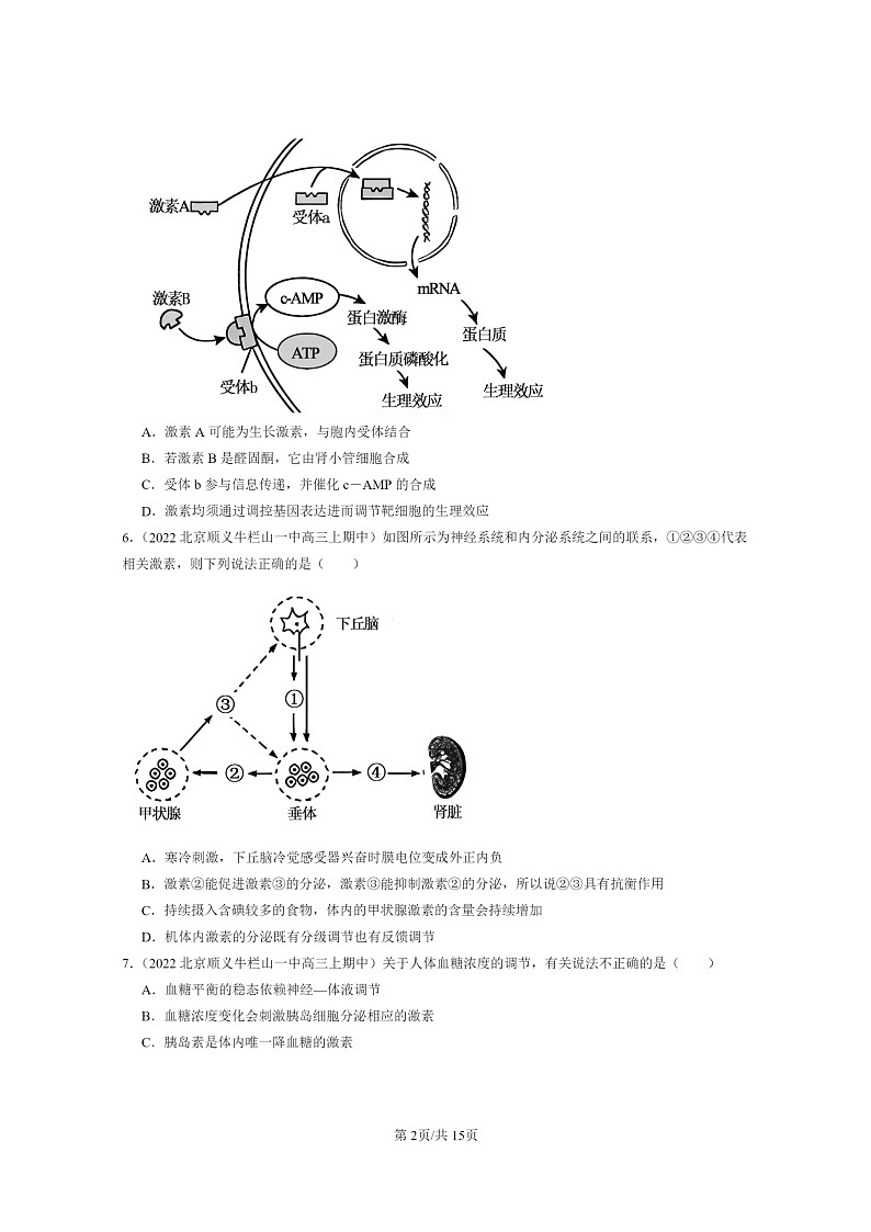 [生物]2021～2023北京重点校高三上学期期中生物真题分类汇编：体液调节章节综合02