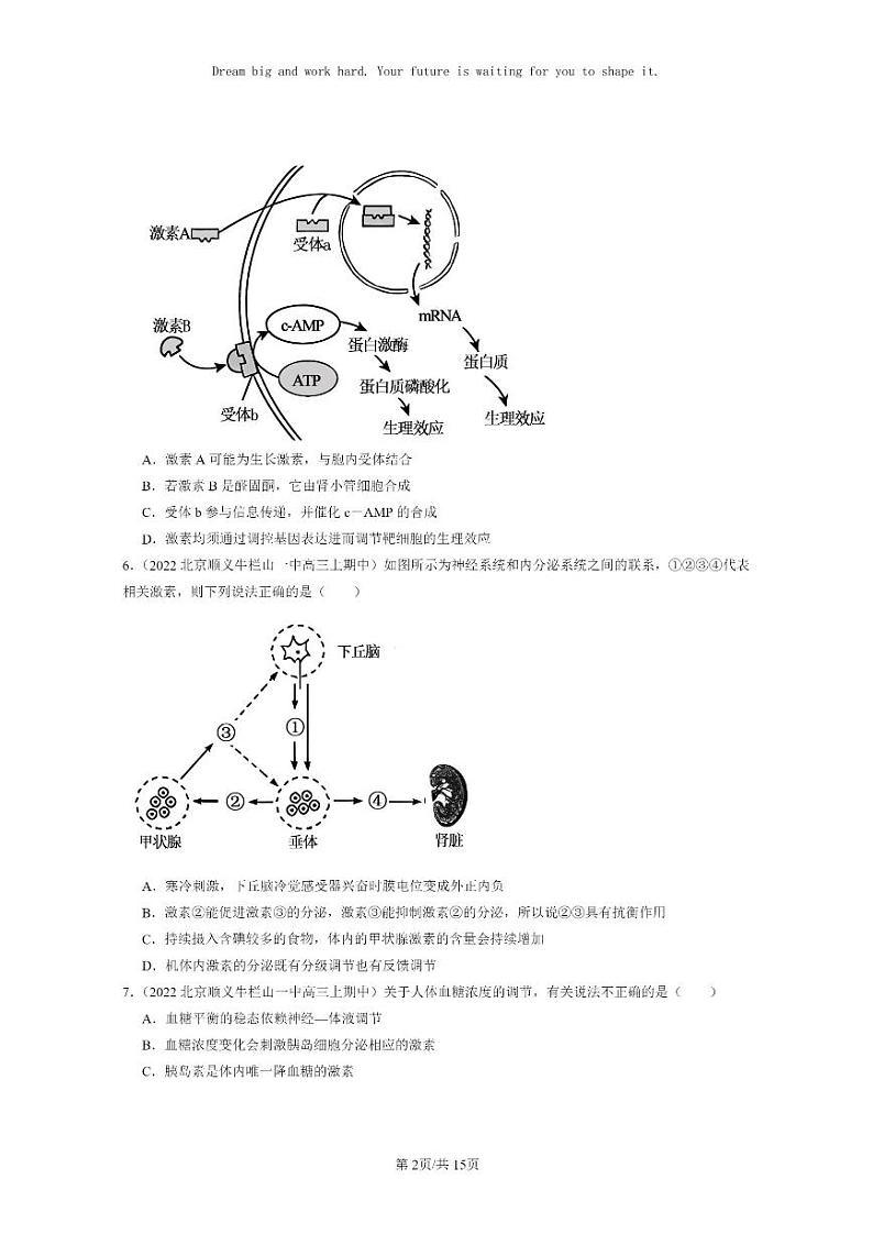 [生物]2021～2023北京重点校高三上学期期中生物真题分类汇编：体液调节章节综合02