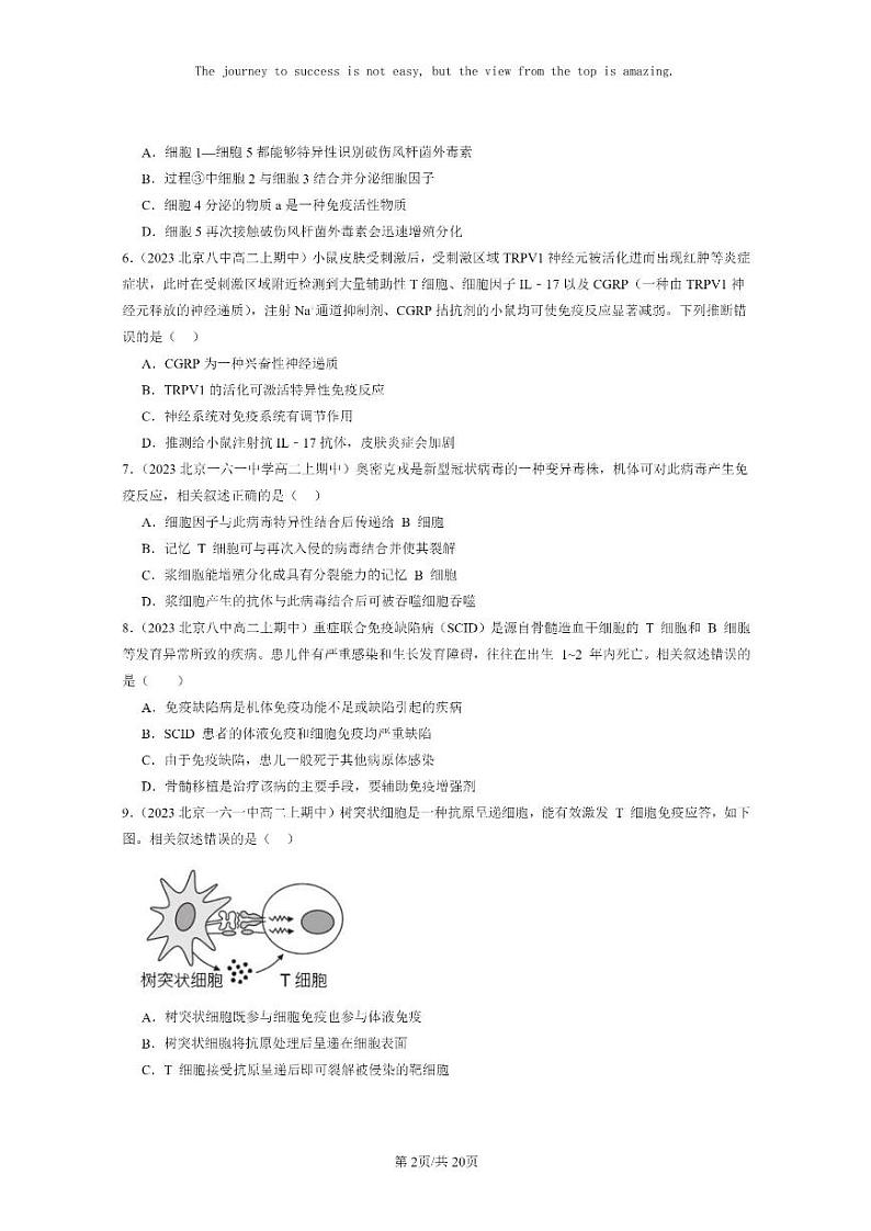 [生物]2023北京重点校高二上学期期中生物真题分类汇编：免疫调节章节综合(选择题)2第2页
