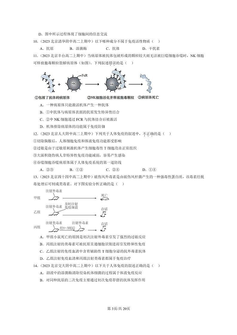 [生物]2023北京重点校高二上学期期中生物真题分类汇编：免疫调节章节综合(选择题)2第3页