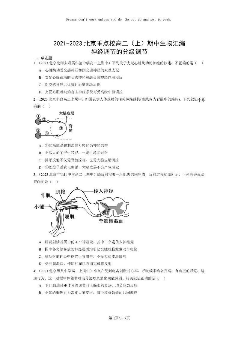 [生物]2021～2023北京重点校高二上学期期中生物真题分类汇编：神经调节的分级调节01