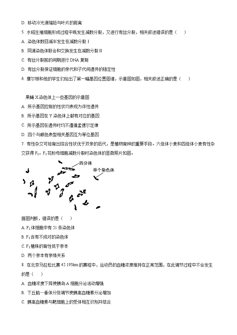 2024年新高考北京卷生物高考真题解析（原卷+解析）02