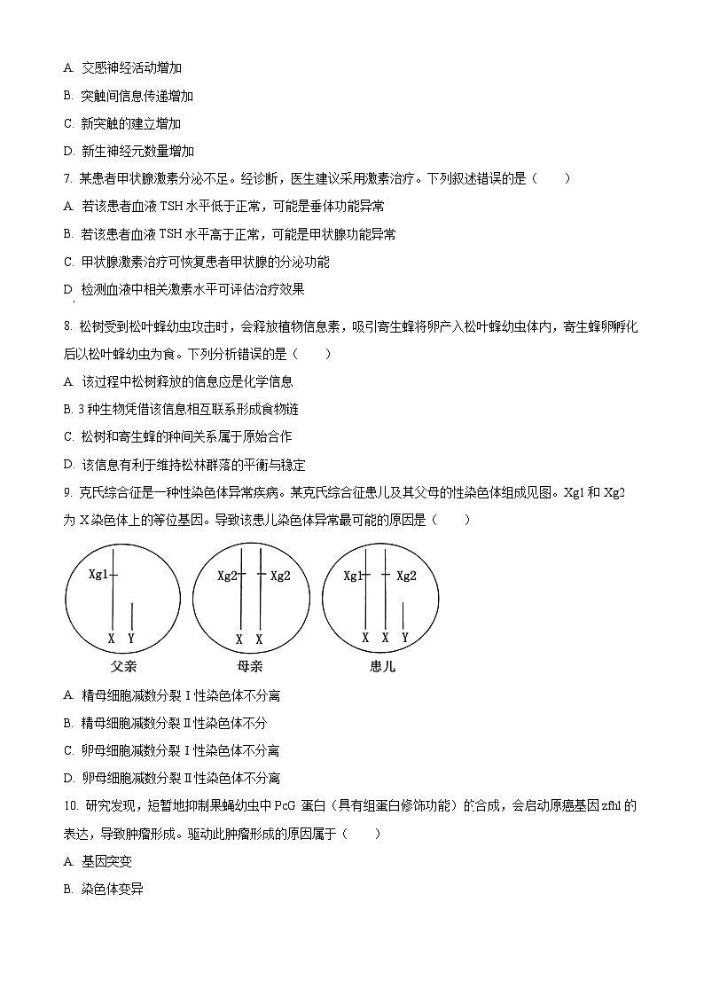 2024年新高考广东卷生物高考真题解析（原卷+解析）02